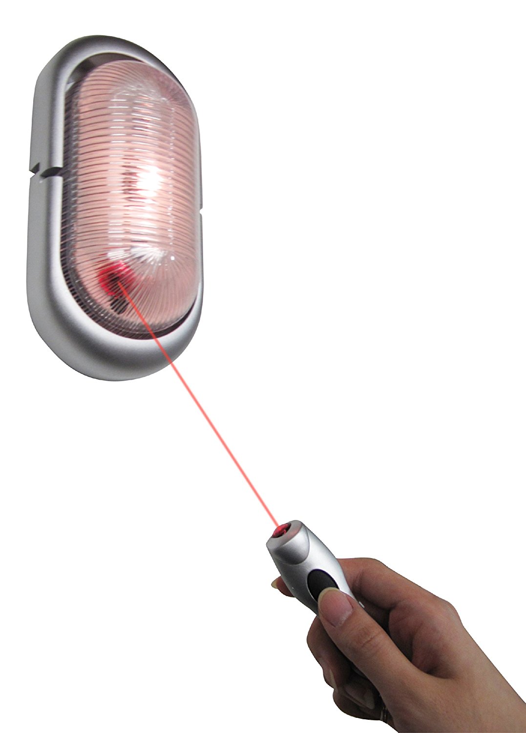 Buy Living Bright Indoor/Outdoor Wall Lamp with Remote 