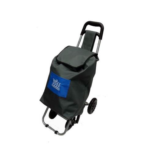 the north face backpack white