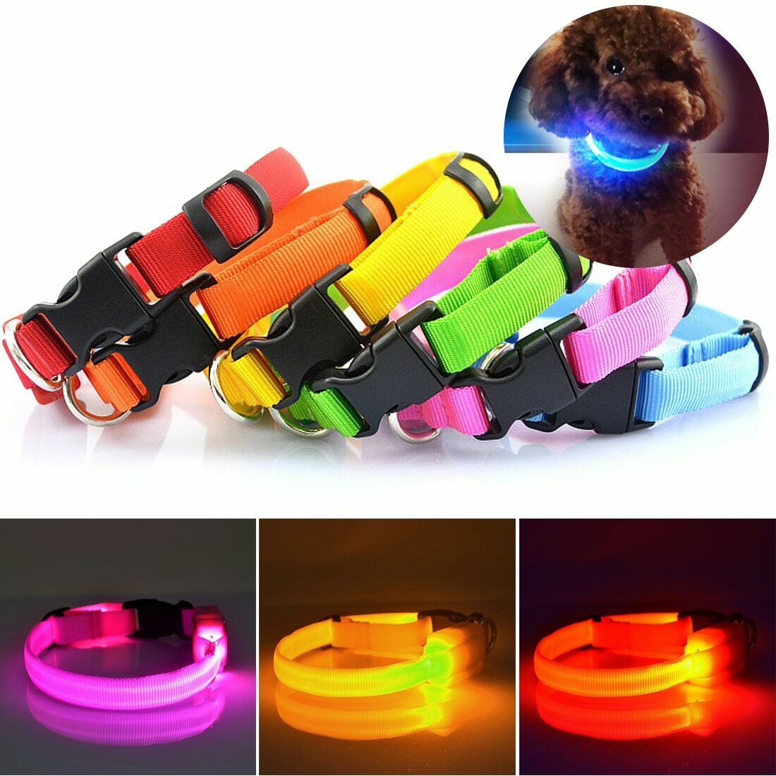 Buy Brite Doggie Battery Operated LED Dog Collars Assorted Colors