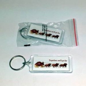 Wells Fargo Keychain.jpg