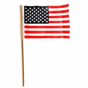 Flag46 1.jpg