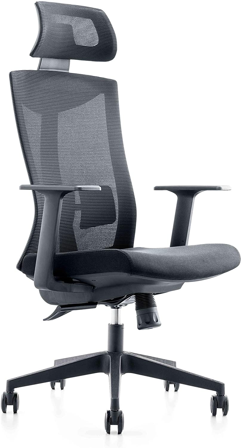 LITHER Home Office Adjustable Ergonomic Mesh Desk Chair Item 6211A2