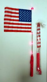 Patrioticflagled.jpg