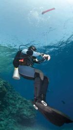 Diver1