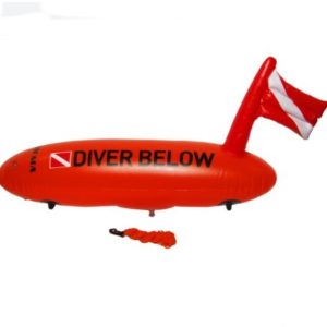 Diver2