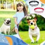 Collar4