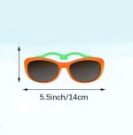 Sun1