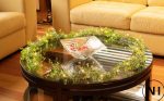 Garland7
