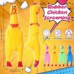 Chicken2