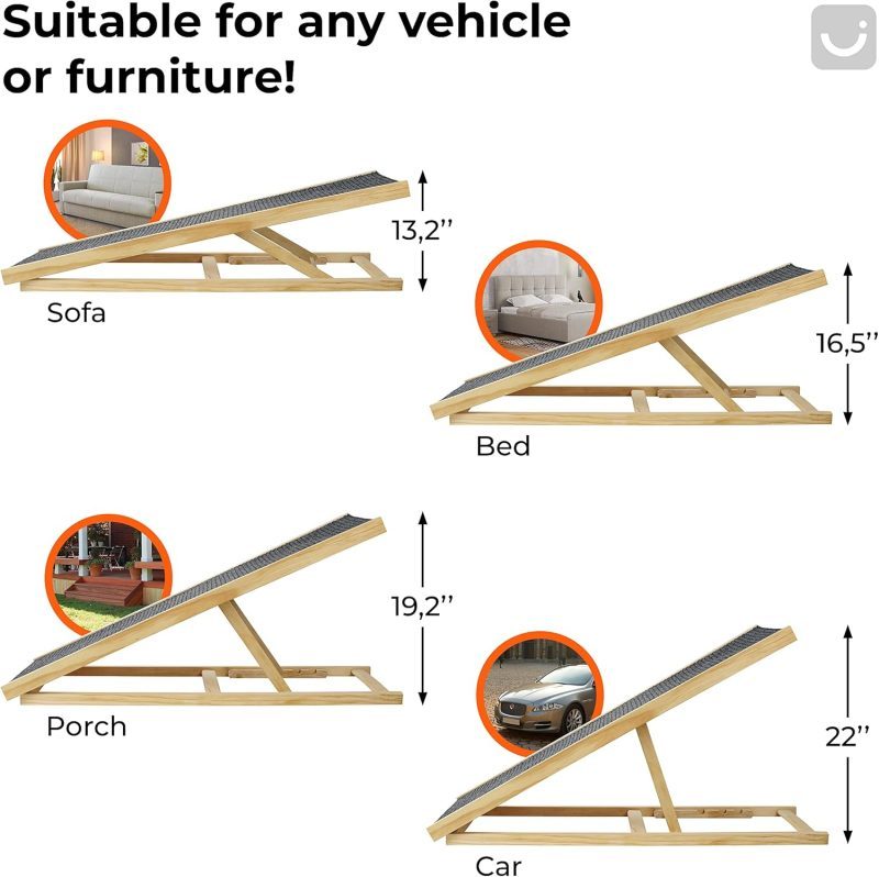 Dogramp6