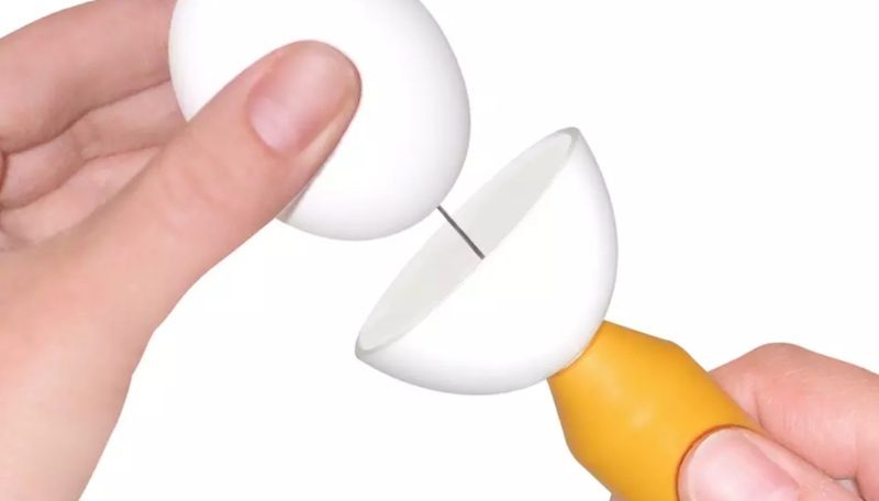 Egg1