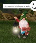 Gnome