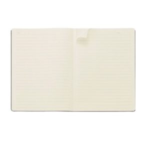 Journal