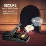 Mouse9