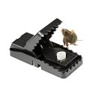 Mouse99