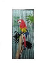 Parrot