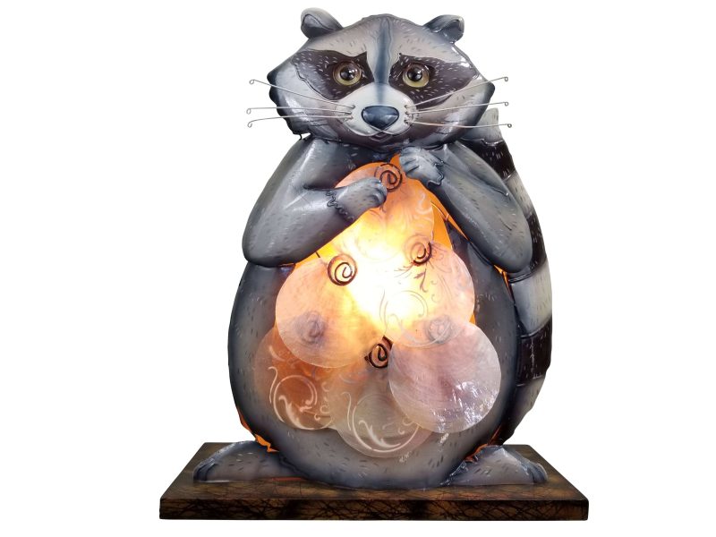 Racoon