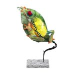 Treefrog
