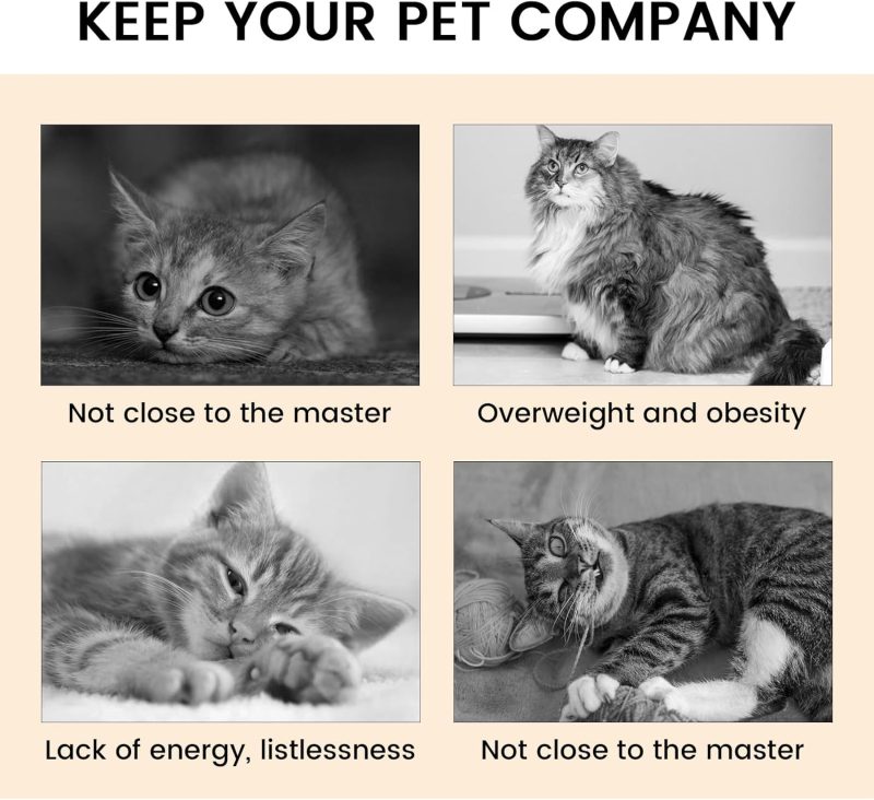 Kitty3