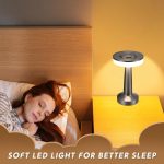 Silverlamp5