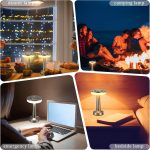Silverlamp6