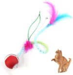 Cat1