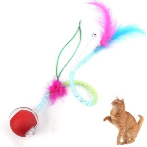 Cat1