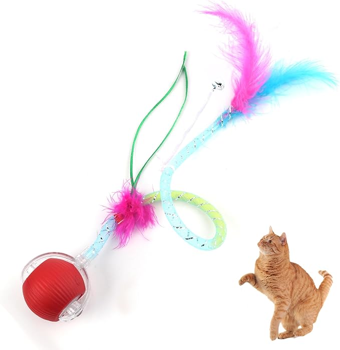 cat1 Cat1