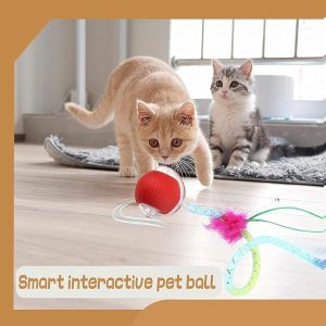 Cat2