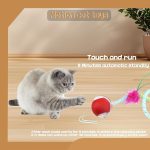 cat5 Cat5