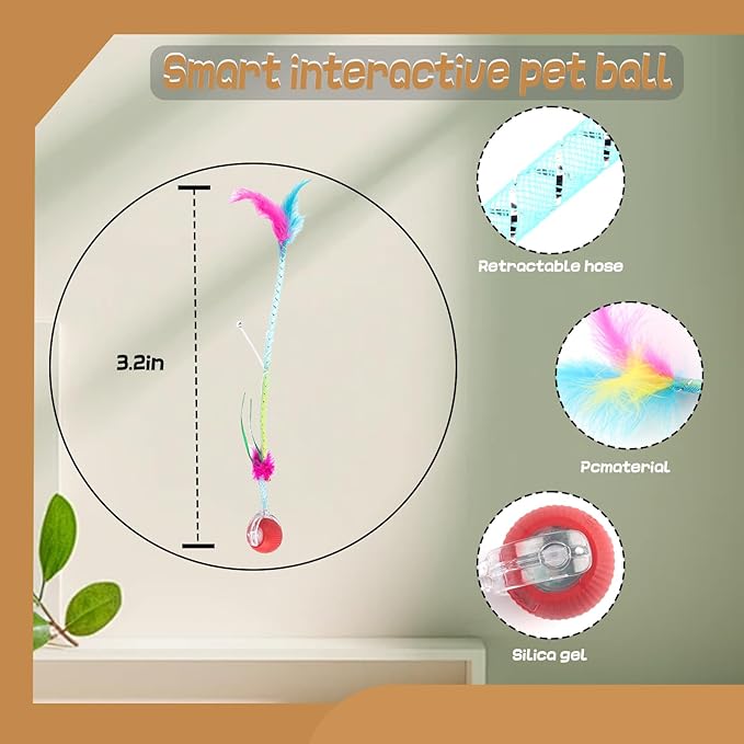 Cat6