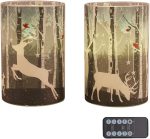 Elk1