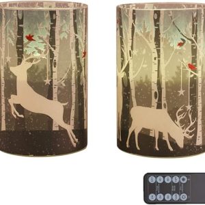Elk1