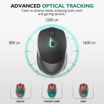 Mouse5