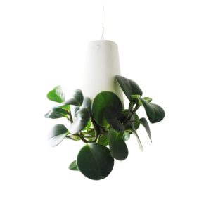 Planter1