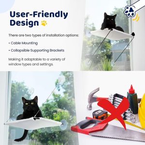 Cat2