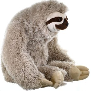 Sloth2