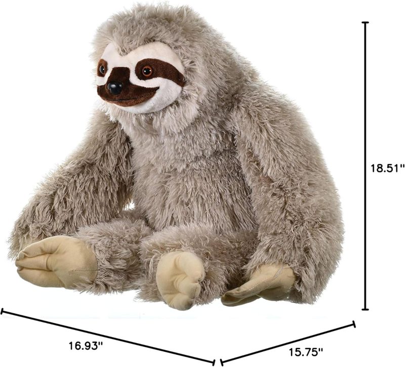 Sloth7