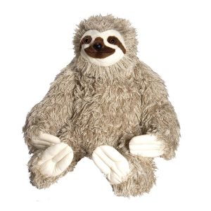 Sloth9
