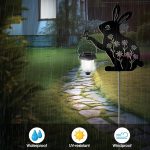 Bunny5