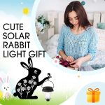 Bunny6