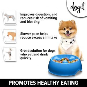 Dogit1