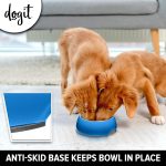 Dogit5