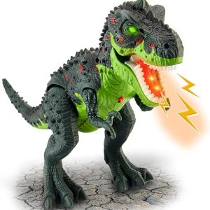 Toy1