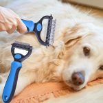 Brush3