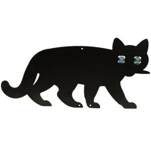 Cat1