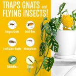 Insecttraps2