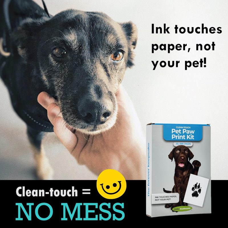 Largepet7