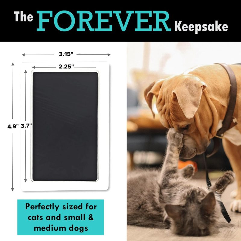 Smallpet7