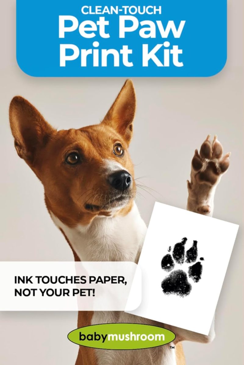 Smallpet8